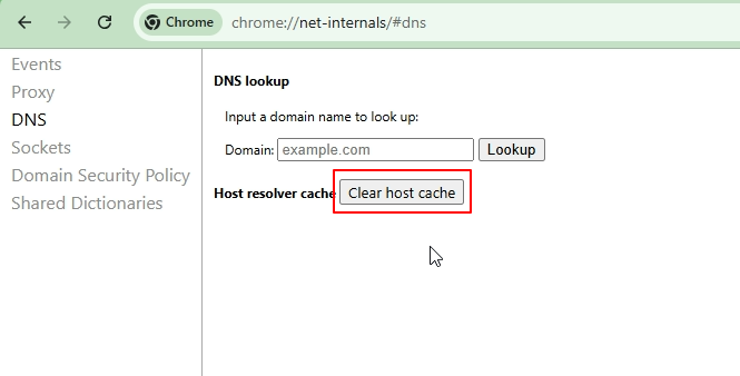 Chrome Net Internals DNS